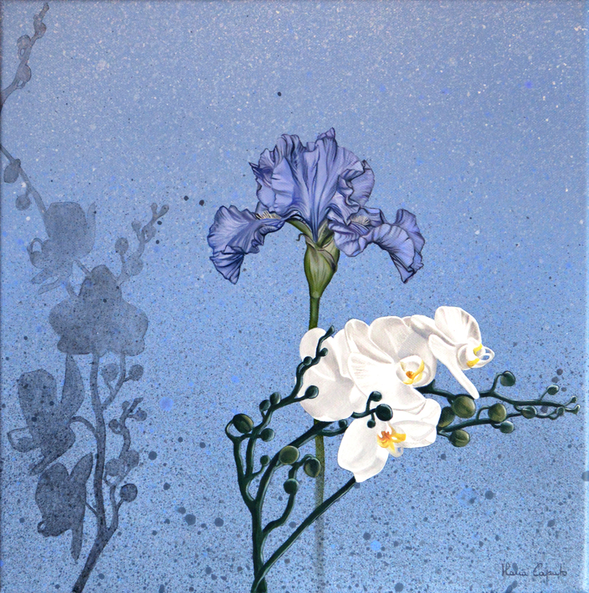 Iris e orchidee